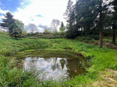 Terrain de loisirs - Bois - Etang à vendre à Châteauneuf-du-Faou dans le Finistère (29520), ref : 29060-1080156