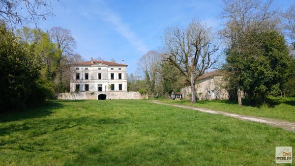 Maison de Maître 290 m², granges et dépendances, 1.2 ha