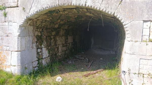 Maison de Maître 290 m², granges et dépendances, 1.2 ha