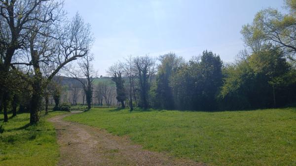 Maison de Maître 290 m², granges et dépendances, 1.2 ha