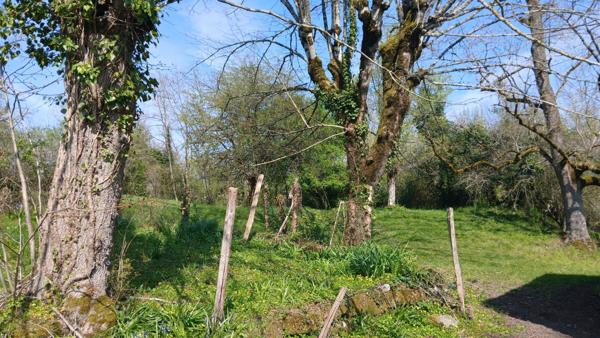 Maison de Maître 290 m², granges et dépendances, 1.2 ha