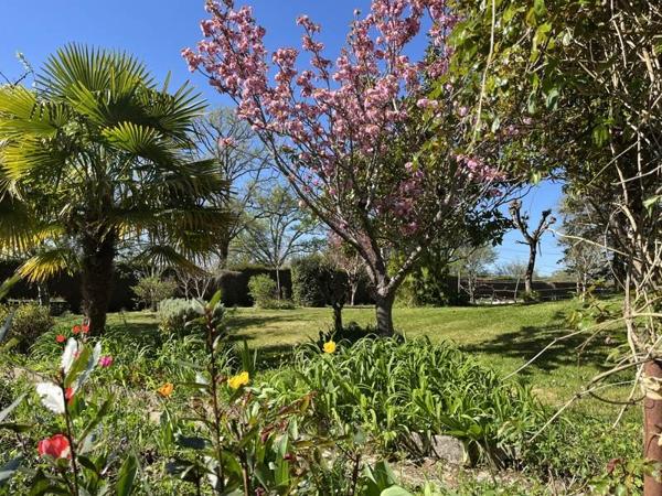 Maison à vendre |  Bussière-Poitevine |  6 pièces | 222 m²