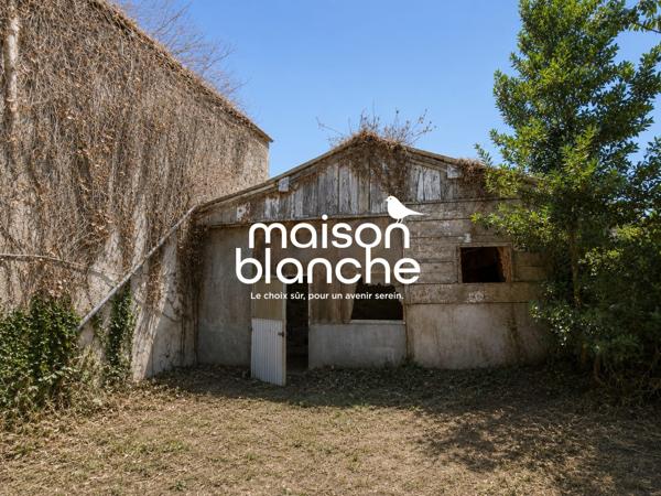 Maison à rénover avec nombreuses dépendances – Fort potentiel