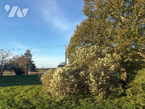 Pour amoureux des anciennes fermes au cachet indéniable, avec terrain autour d'environ 1 hectare !