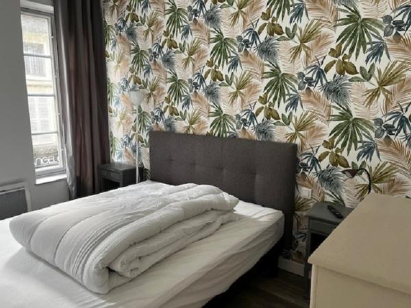Logement meublé coeur de Villeneuve sur Yonne