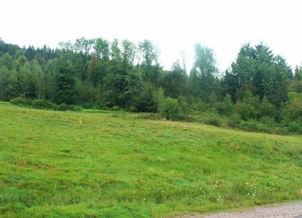 Terrain à vendre    Cleurie