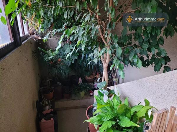 Vente Immeuble 13 pièces 343 m2 à Lavelanet