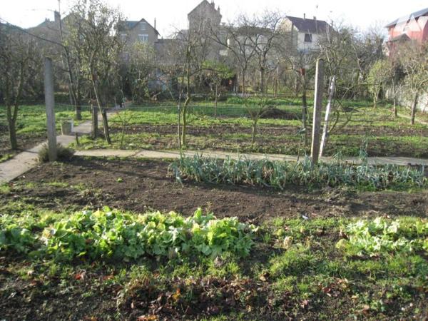 SABLE SUR SARTHE - GASTINES/GARE - MAISON DE VILLE réf CC2112