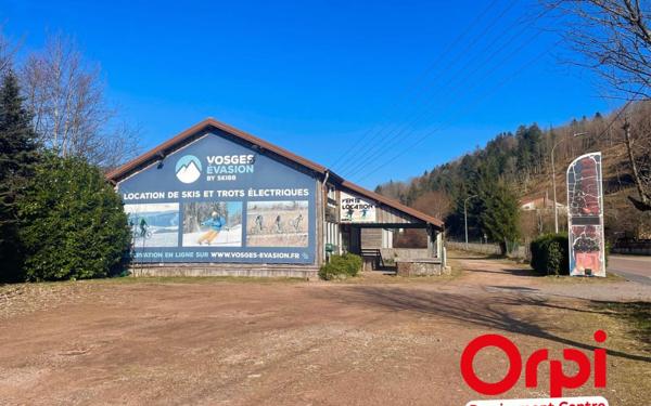 Terrain à vendre    La Bresse