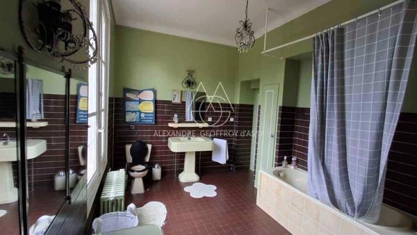 Château à 10 min de Tours de 500m2 sur un magnifique parc de 5ha.