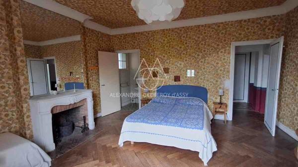 Château à 10 min de Tours de 500m2 sur un magnifique parc de 5ha.