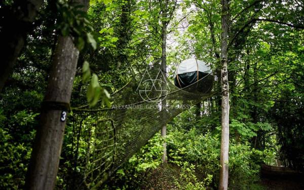 Château à 10 min de Tours de 500m2 sur un magnifique parc de 5ha.