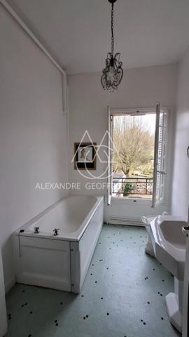 Château à 10 min de Tours de 500m2 sur un magnifique parc de 5ha.