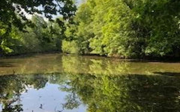 Terrain à vendre    Croissanville