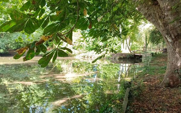 Terrain à vendre    Croissanville