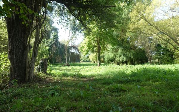 Terrain à vendre    Croissanville