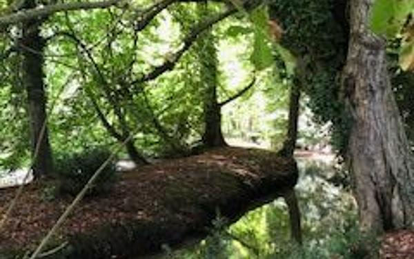 Terrain à vendre    Croissanville