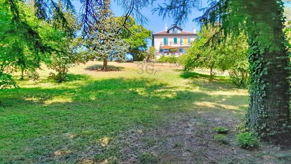 Vente / Domaine