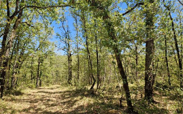 Terrain à vendre    Chasteaux