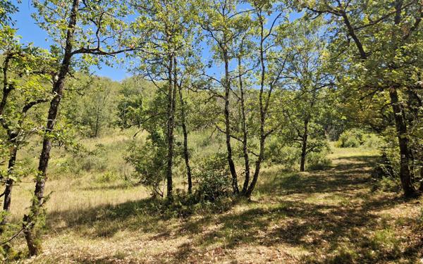 Terrain à vendre    Chasteaux