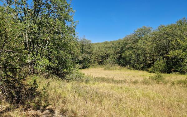 Terrain à vendre    Chasteaux