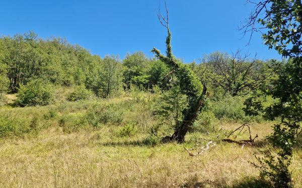 Terrain à vendre    Chasteaux