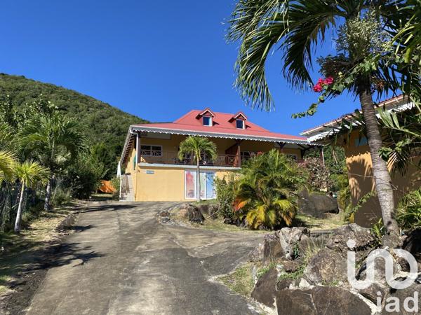 Gîte 11 pièces de 231 m² à Terre-de-Bas (97136)