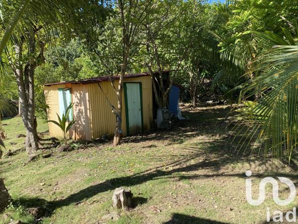 Gîte 11 pièces de 231 m² à Terre-de-Bas (97136)