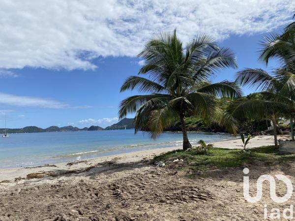 Gîte 11 pièces de 231 m² à Terre-de-Bas (97136)