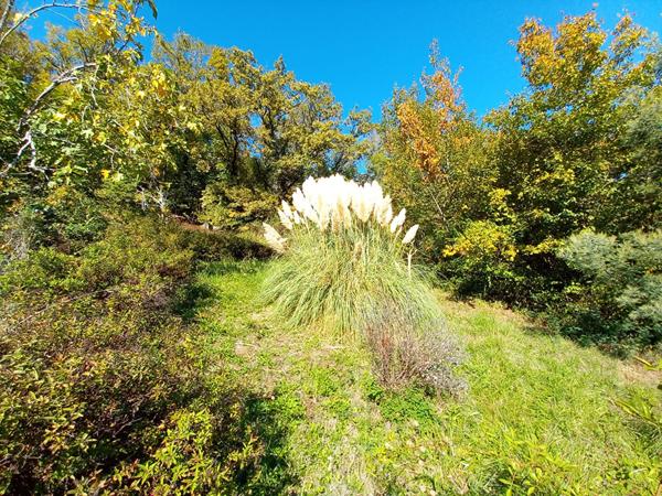 Immeuble de rapport Brive La Gaillarde 176 m2 - 2 appartements T4 de 90 m²- garage- jardin