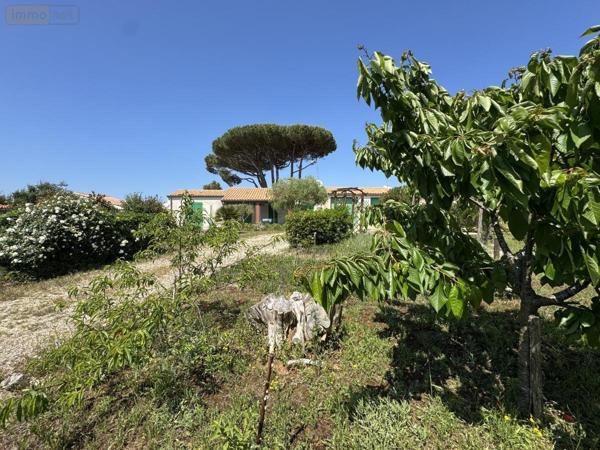 Maison à vendre à Le Bois-Plage-en-Ré en Charente-Maritime (17580), ref : 17018-1135