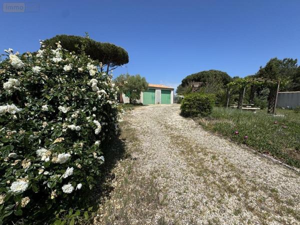 Maison à vendre à Le Bois-Plage-en-Ré en Charente-Maritime (17580), ref : 17018-1135