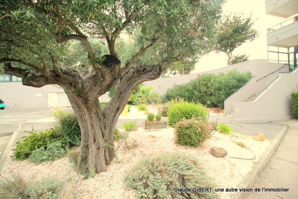 Mèze (34140) T3 + Terrasse au 2éme et dernier étage + garage + place extérieure dans une résidence de standing à Mèze