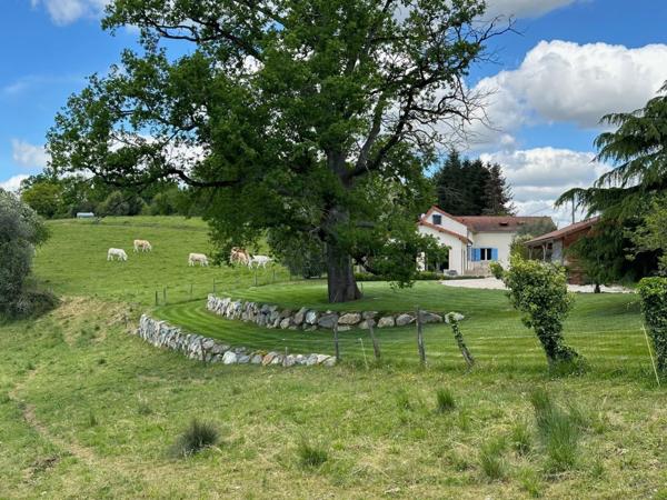 Dpt Hautes Pyrénées (65), à vendre maison P6 de 230 m² - Terrain de 5 500,00 m² - Plain pied - piscine intérieure