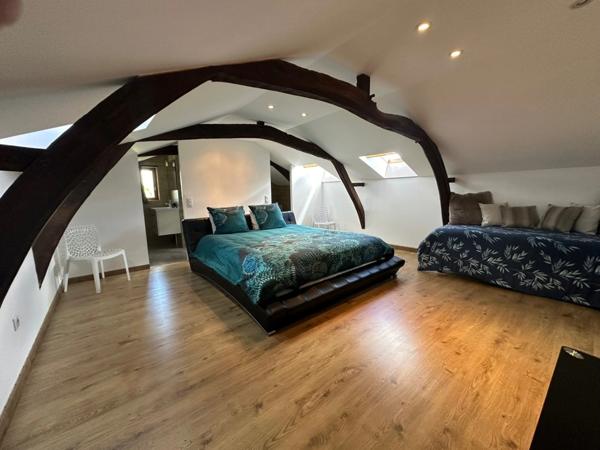 Dpt Hautes Pyrénées (65), à vendre maison P6 de 230 m² - Terrain de 5 500,00 m² - Plain pied - piscine intérieure