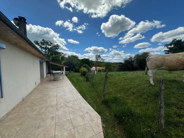 Dpt Hautes Pyrénées (65), à vendre maison P6 de 230 m² - Terrain de 5 500,00 m² - Plain pied - piscine intérieure