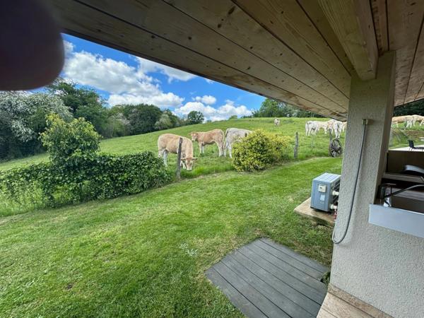 Dpt Hautes Pyrénées (65), à vendre maison P6 de 230 m² - Terrain de 5 500,00 m² - Plain pied - piscine intérieure