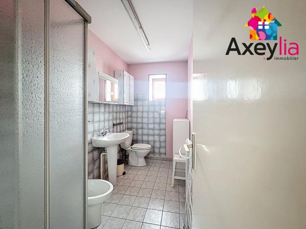 Melay (71340) A VENDRE - MELAY - MAISON FAMILIALE AVEC GITE INDEPENDANT ET 3 GARAGES