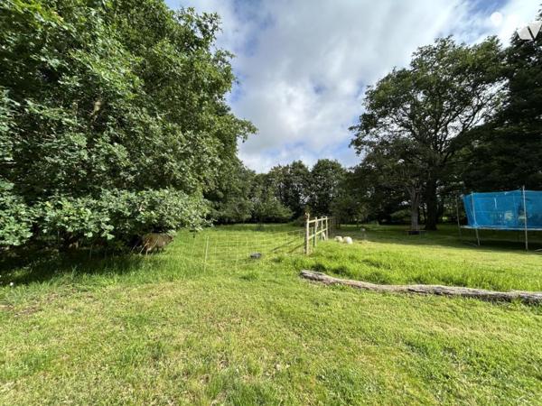 JANZÉ – LONGÈRE DE CARACTÈRE RÉNOVÉE – 305 M² – 7 CHAMBRES – TERRAIN 4 060 M²
