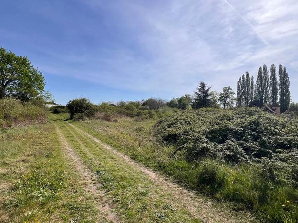 Terrain à Allotir - Beaufay - 7266 m²