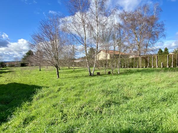 Terrain à vendre à Rochechouart (87600) - Haute-Vienne