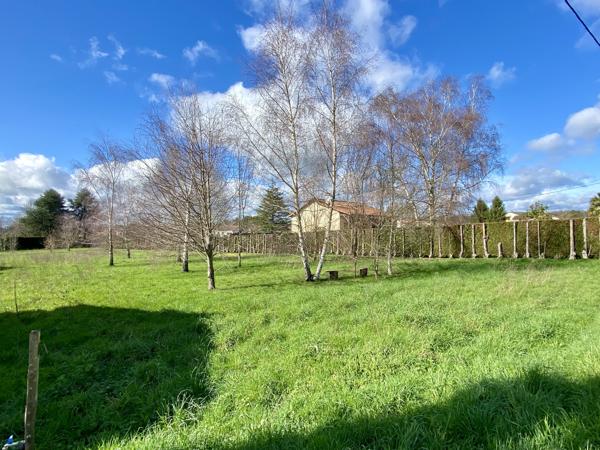 Terrain à vendre à Rochechouart (87600) - Haute-Vienne