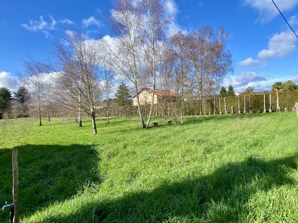 Terrain à vendre à Rochechouart (87600) - Haute-Vienne