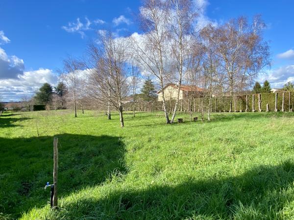 Terrain à vendre à Rochechouart (87600) - Haute-Vienne