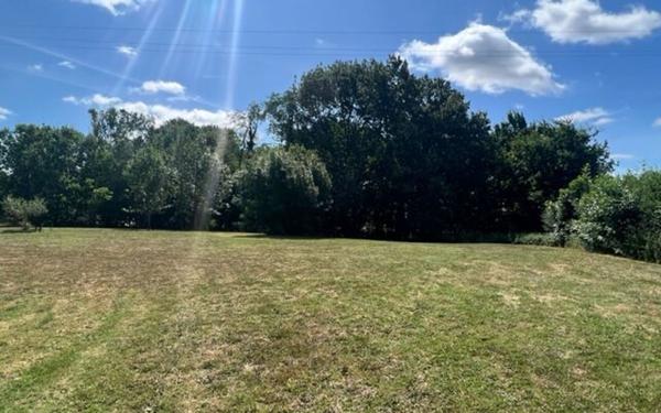 Terrain à vendre    Lacourt-Saint-Pierre