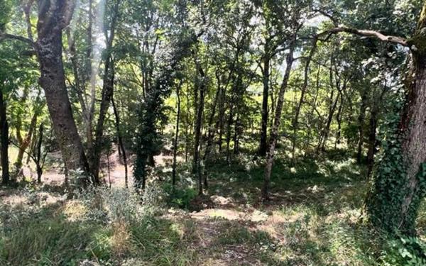 Terrain à vendre    Lacourt-Saint-Pierre