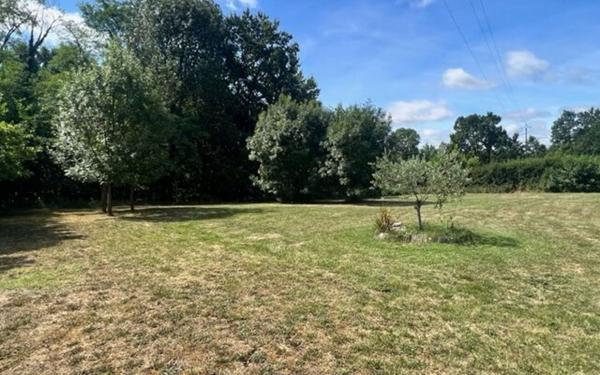 Terrain à vendre    Lacourt-Saint-Pierre