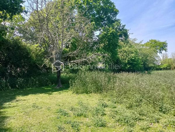 Lotissement de 482 m²