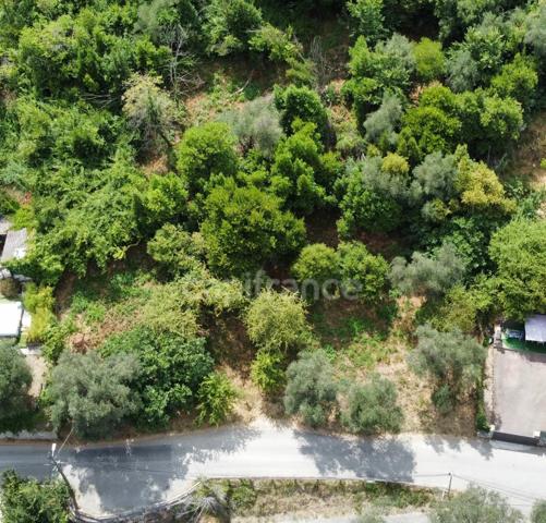 Terrain à vendre de 1 027,00 m² FALICON (06)