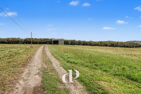 Une spacieuse maison de campagne avec 6 hectares